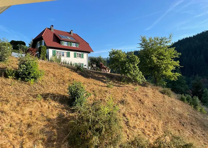 Black Forest Апартаменты *